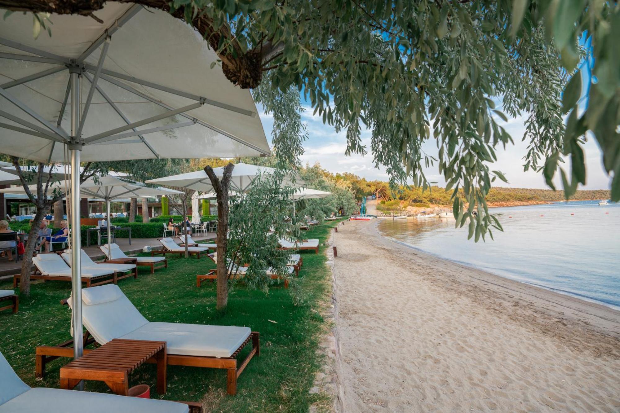 Ortunc Hotel - Cunda Island (Adults Only) Ayvalı Εξωτερικό φωτογραφία