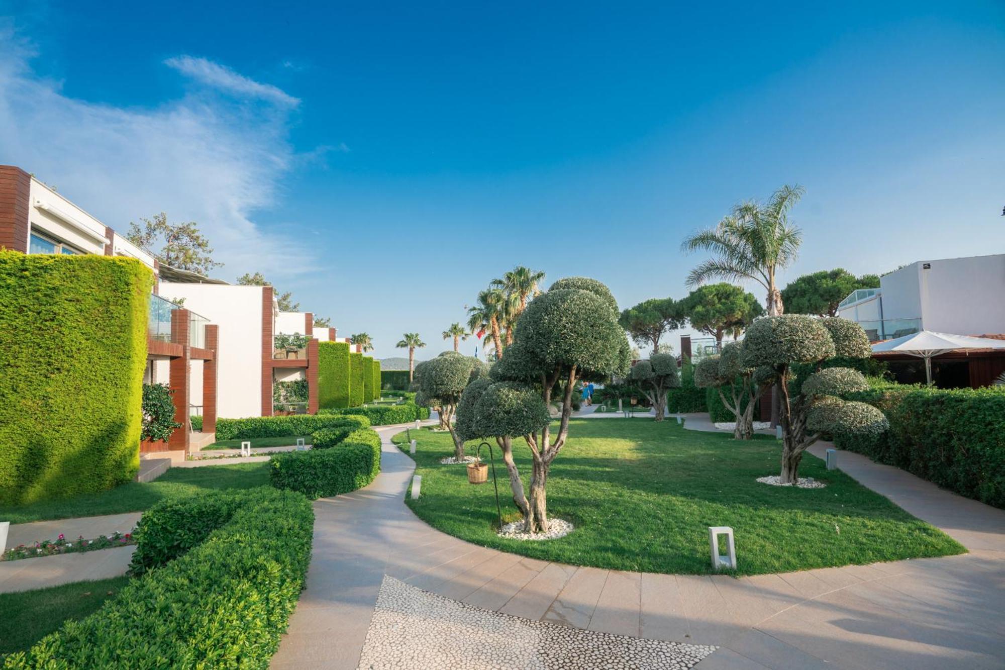 Ortunc Hotel - Cunda Island (Adults Only) Ayvalı Εξωτερικό φωτογραφία