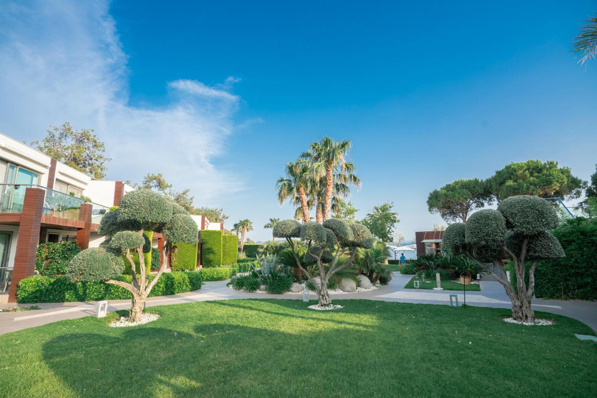 Ortunc Hotel - Cunda Island (Adults Only) Ayvalı Εξωτερικό φωτογραφία