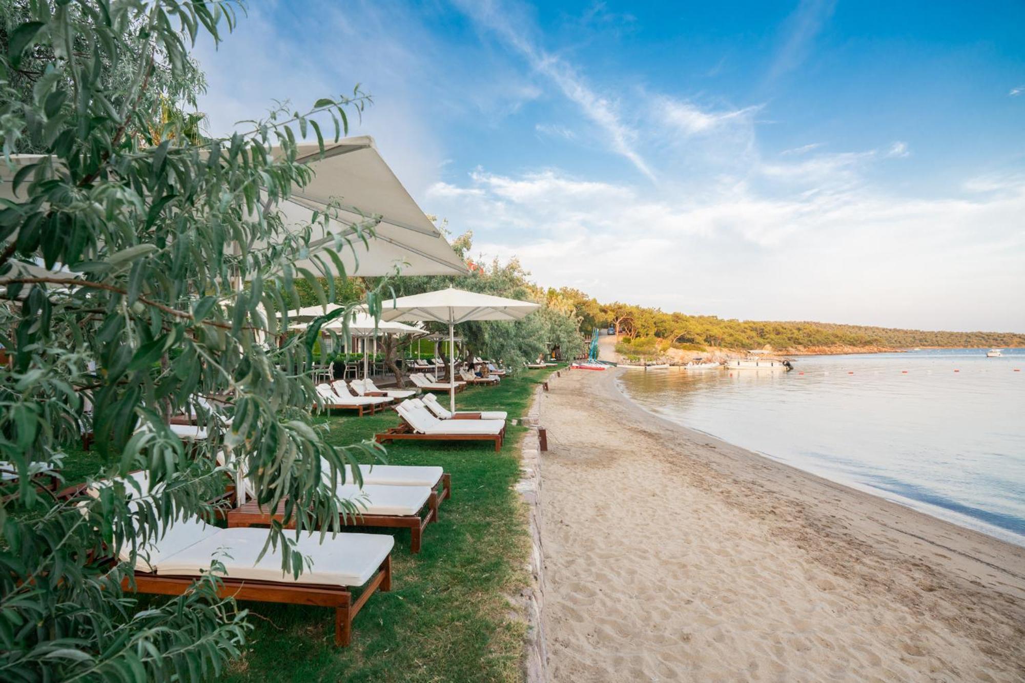 Ortunc Hotel - Cunda Island (Adults Only) Ayvalı Εξωτερικό φωτογραφία