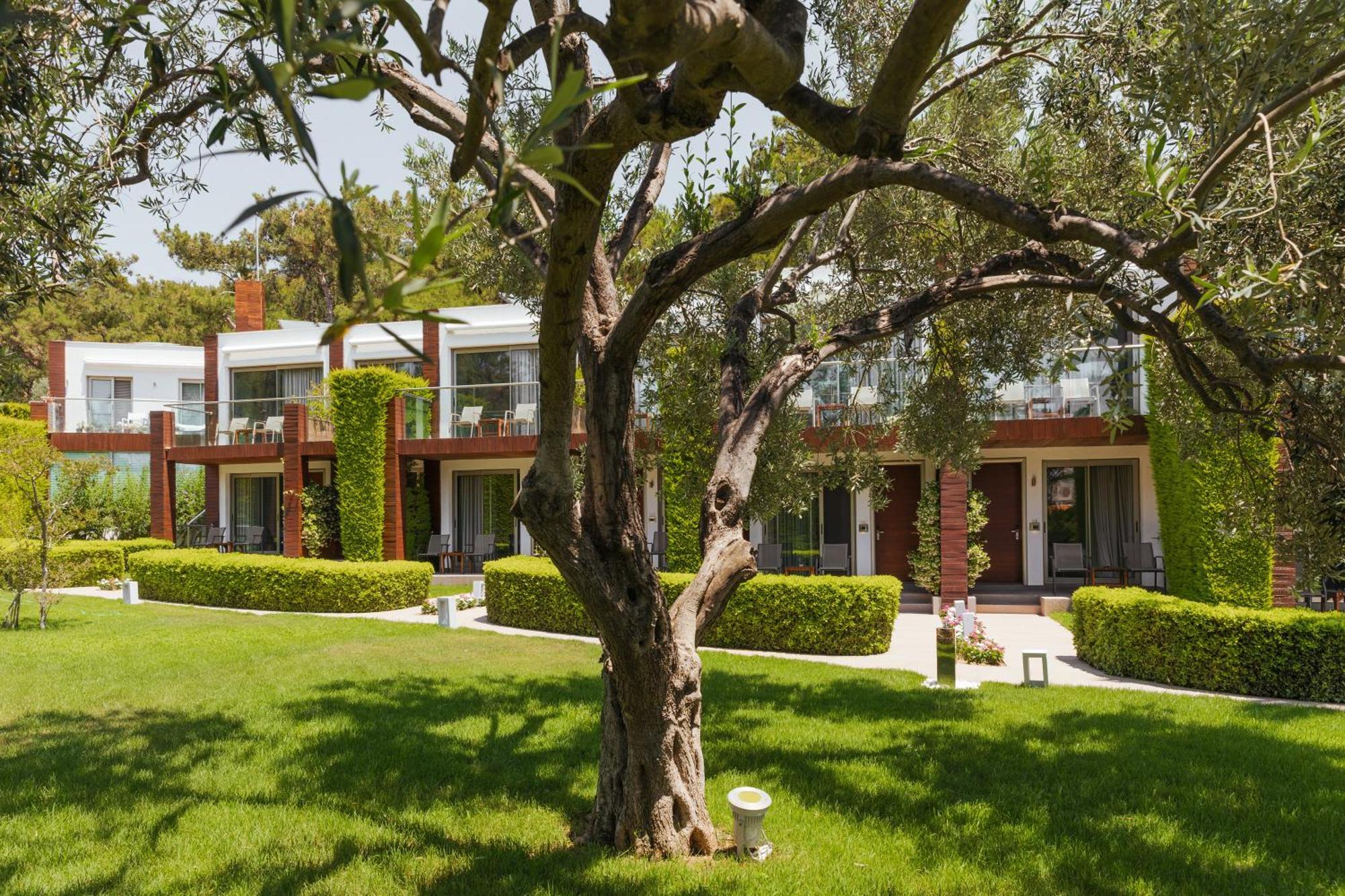Ortunc Hotel - Cunda Island (Adults Only) Ayvalı Εξωτερικό φωτογραφία