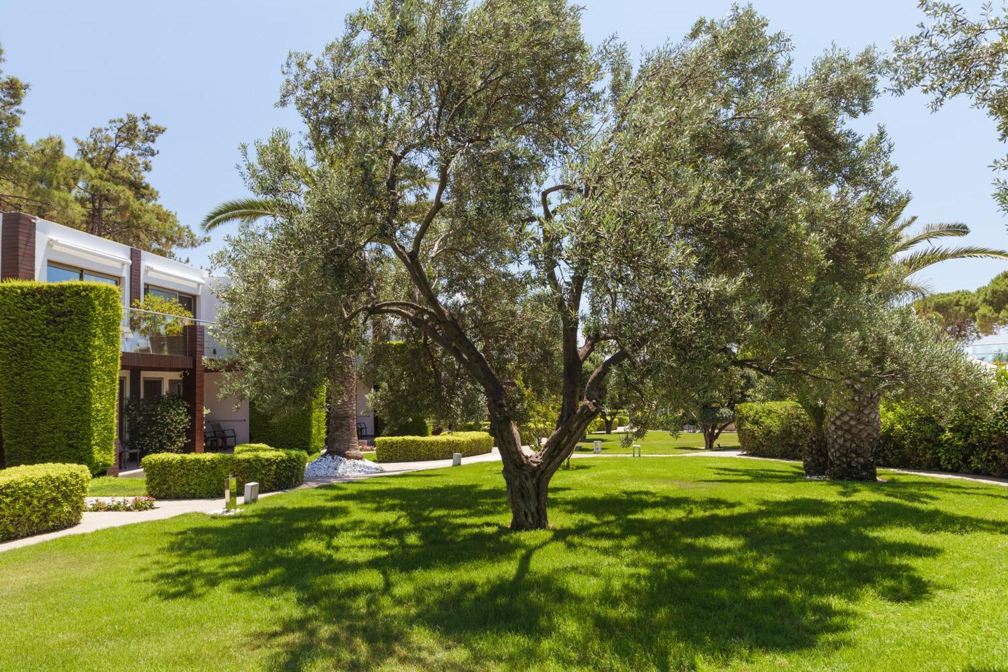 Ortunc Hotel - Cunda Island (Adults Only) Ayvalı Εξωτερικό φωτογραφία