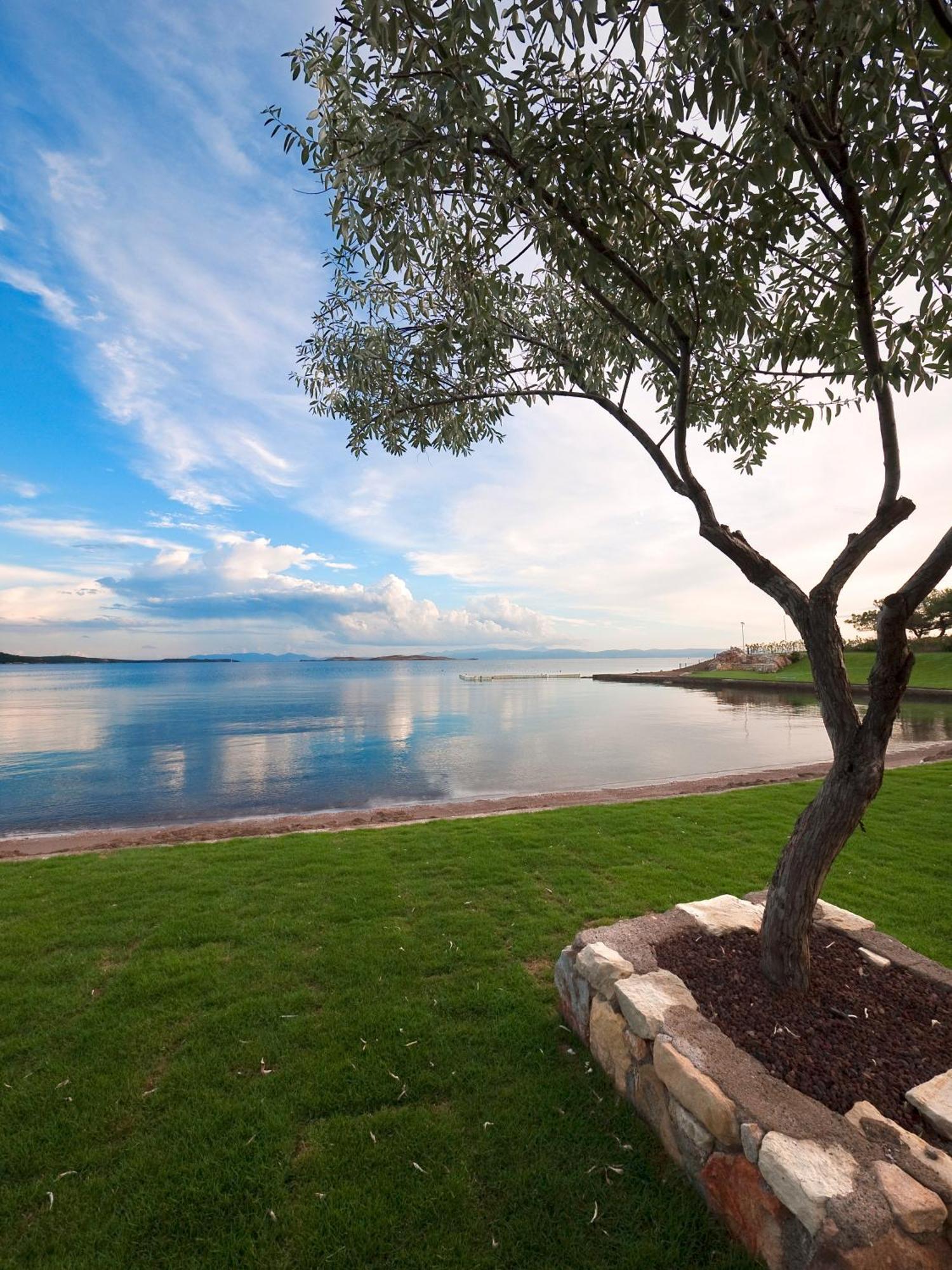 Ortunc Hotel - Cunda Island (Adults Only) Ayvalı Εξωτερικό φωτογραφία